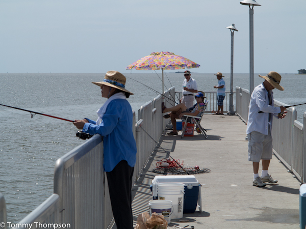 Don't have a boat? Give Cedar Key's fishing pier a try! - Visit Natural  North Florida