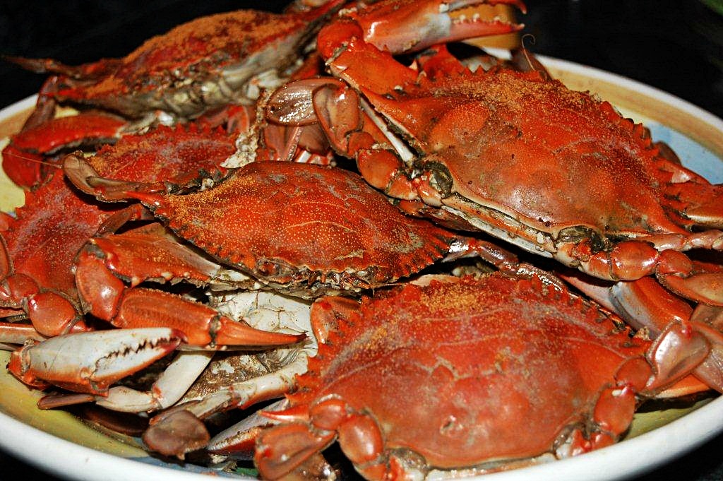 cooked blue crab