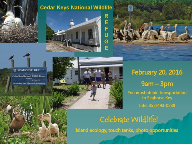 tour cedar key's lighthouse, february 20, 2016 - visit