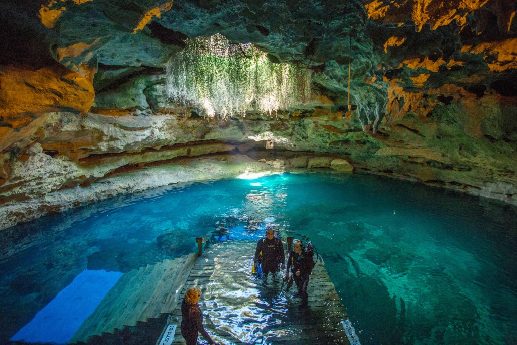 Devil's Den Florida: A Guide to Exploring the Prehistoric Spring