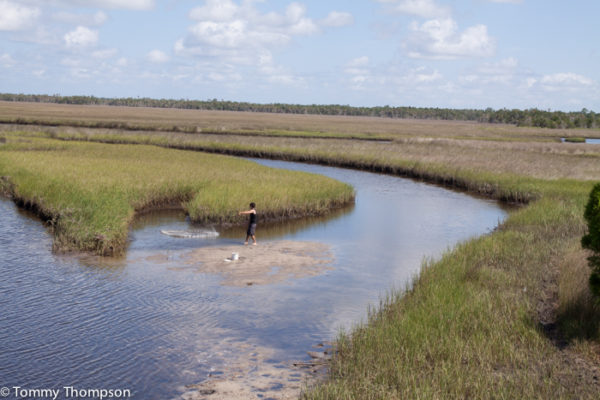 Get Lost (Or Not!) At Dixie County Florida's Shired Island - Visit ...