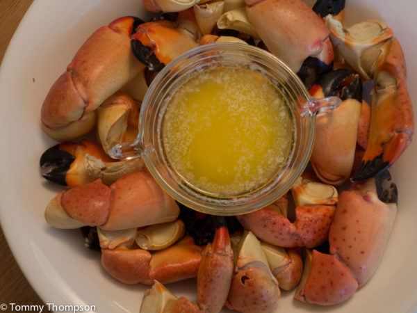 St. Marks Stone Crab Festival, October 22, 2016