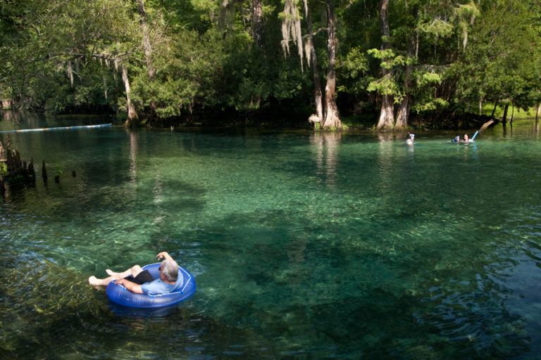 Don't Miss These Two Levy County State Parks and Their First Magnitude Springs - Visit Natural 