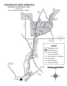 Steinhatchee Springs WMA-Explorers and Photographers Welcome - Visit ...