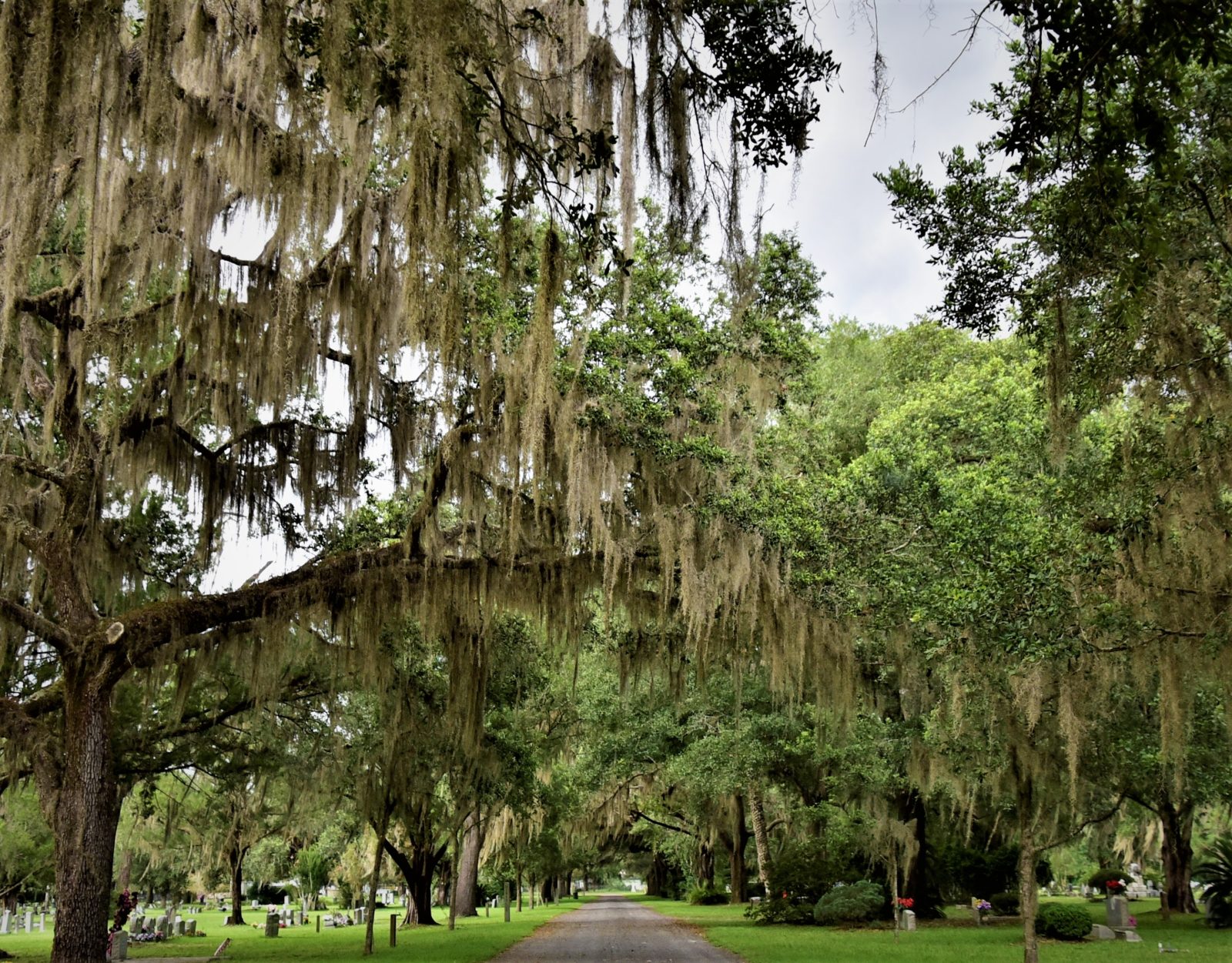 No Sand, No Surf, No Problem! Alachua County is Not Your Average ...