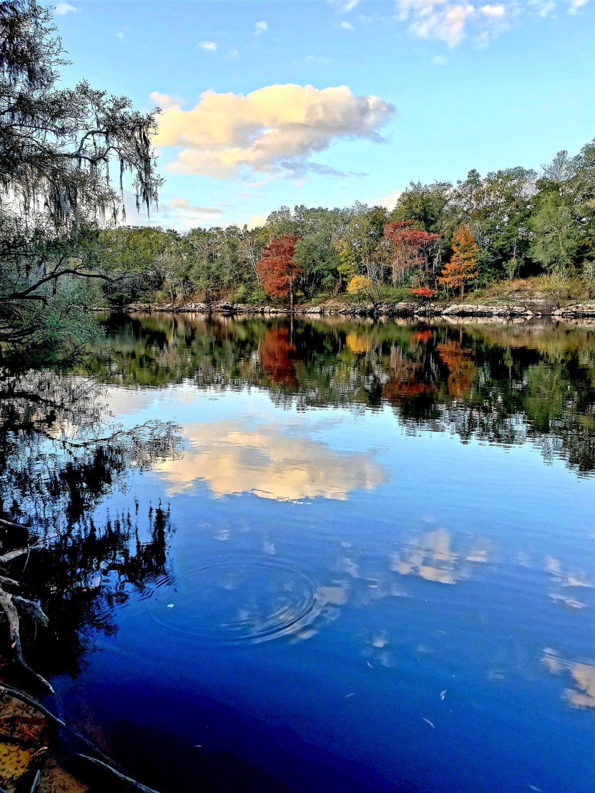 The 16 Best Things to Do in Lafayette County and the Suwannee River ...