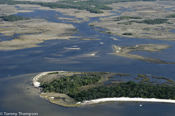 Summering in Simmering Suwannee Sound, Levy County Fishing At It's Best ...