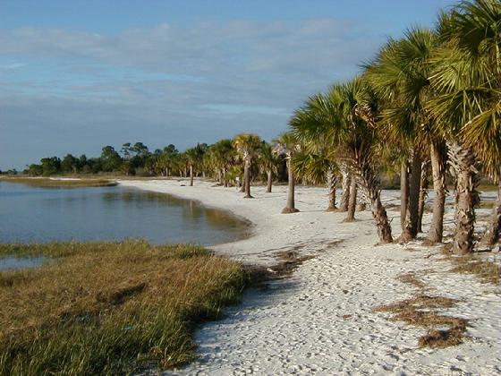 Shired Island Campground - Visit Natural North Florida